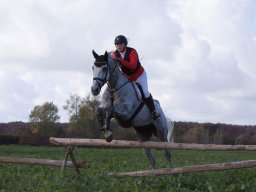 IMG_9680web